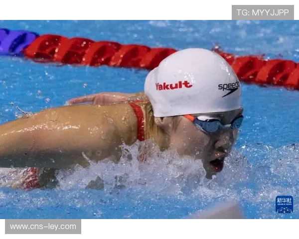 短池游泳世锦赛12月北京举办